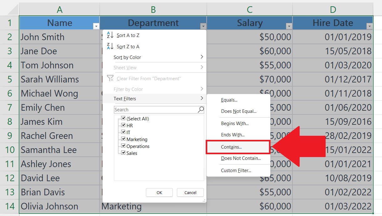 How To Select Rows With Specific Text In Microsoft Excel | SpreadCheaters