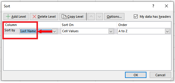 How To Sort Data By Last Name In Excel Spreadcheaters 4368